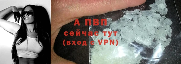 ешки Алексин