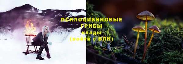 гидропоника Алзамай