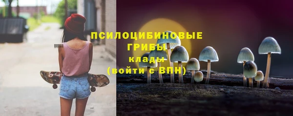 мяу мяу мука Алексеевка