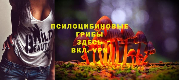 гидропоника Алзамай